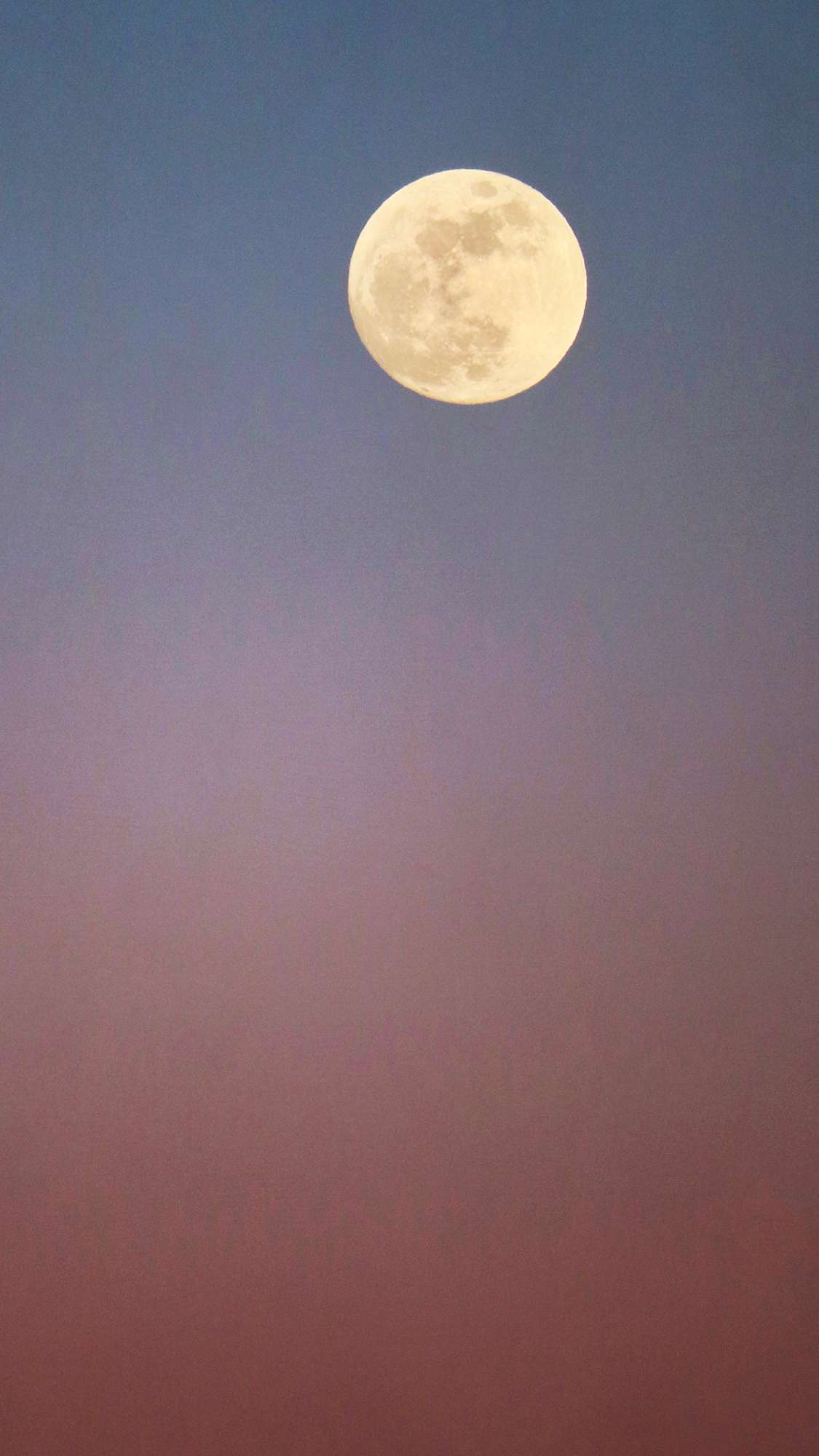 Understanding Your Sun and Moon in Astrology